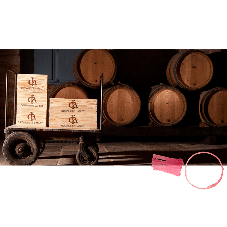 Domaine-de-l-Arlot La Pinothèque