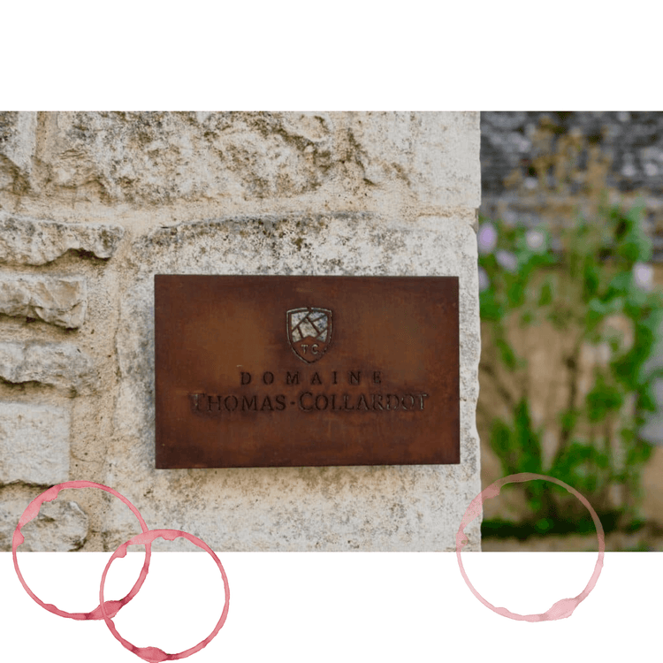 Domaine-Thomas-Collardot La Pinothèque