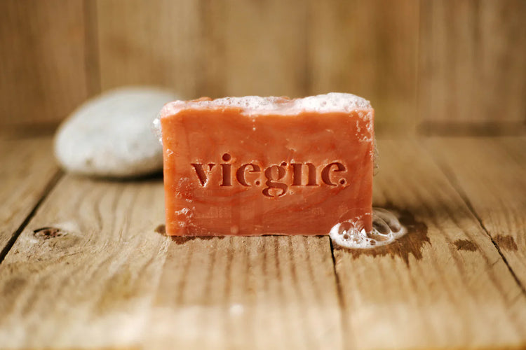 Vie.gne La Pinothèque