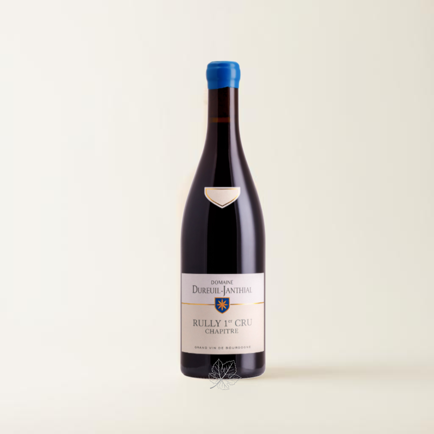 Vincent Dureuil-Janthial Rully 1er cru Clos du Chapitre Rouge 2023