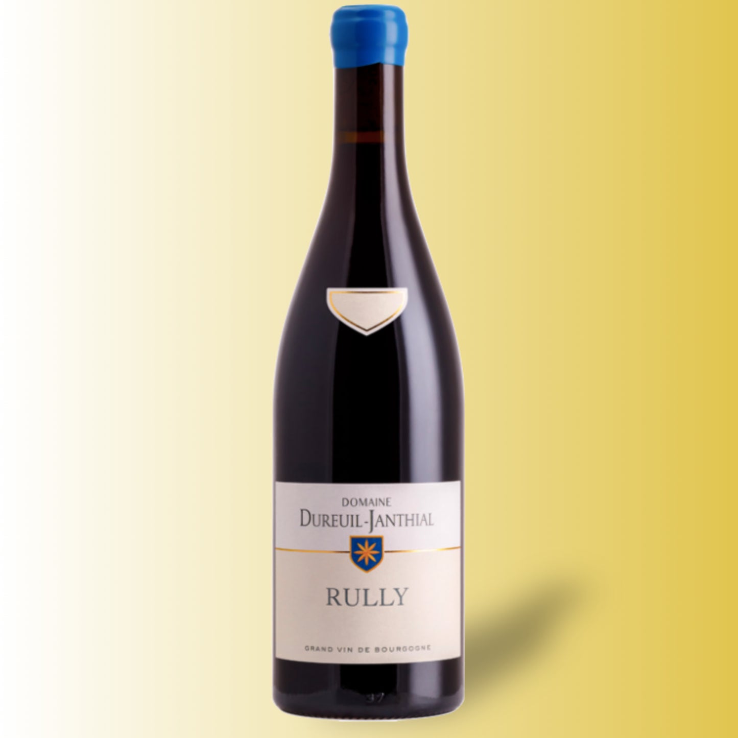 Vincent Dureuil-Janthial Rully Rouge 2022