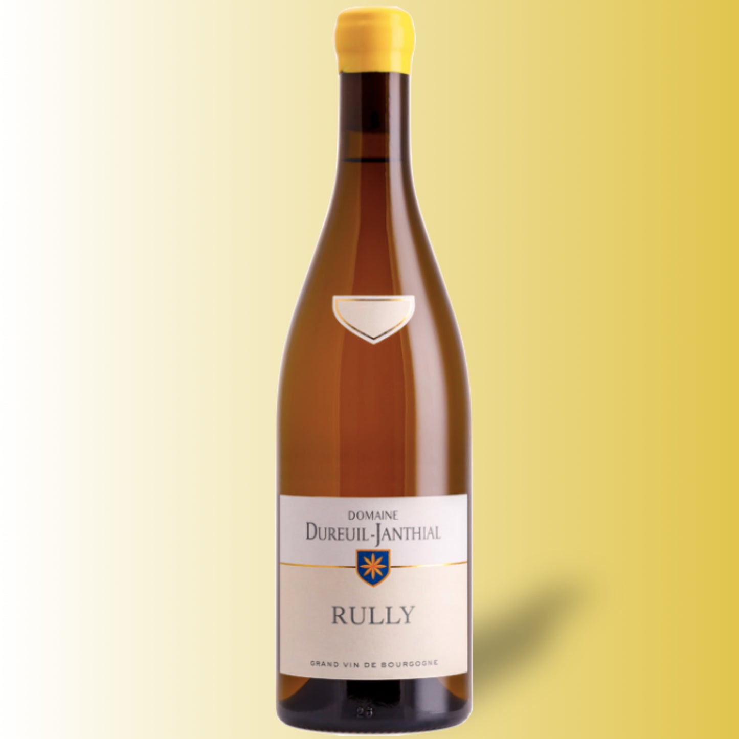 Vincent Dureuil-Janthial Rully Blanc 2022