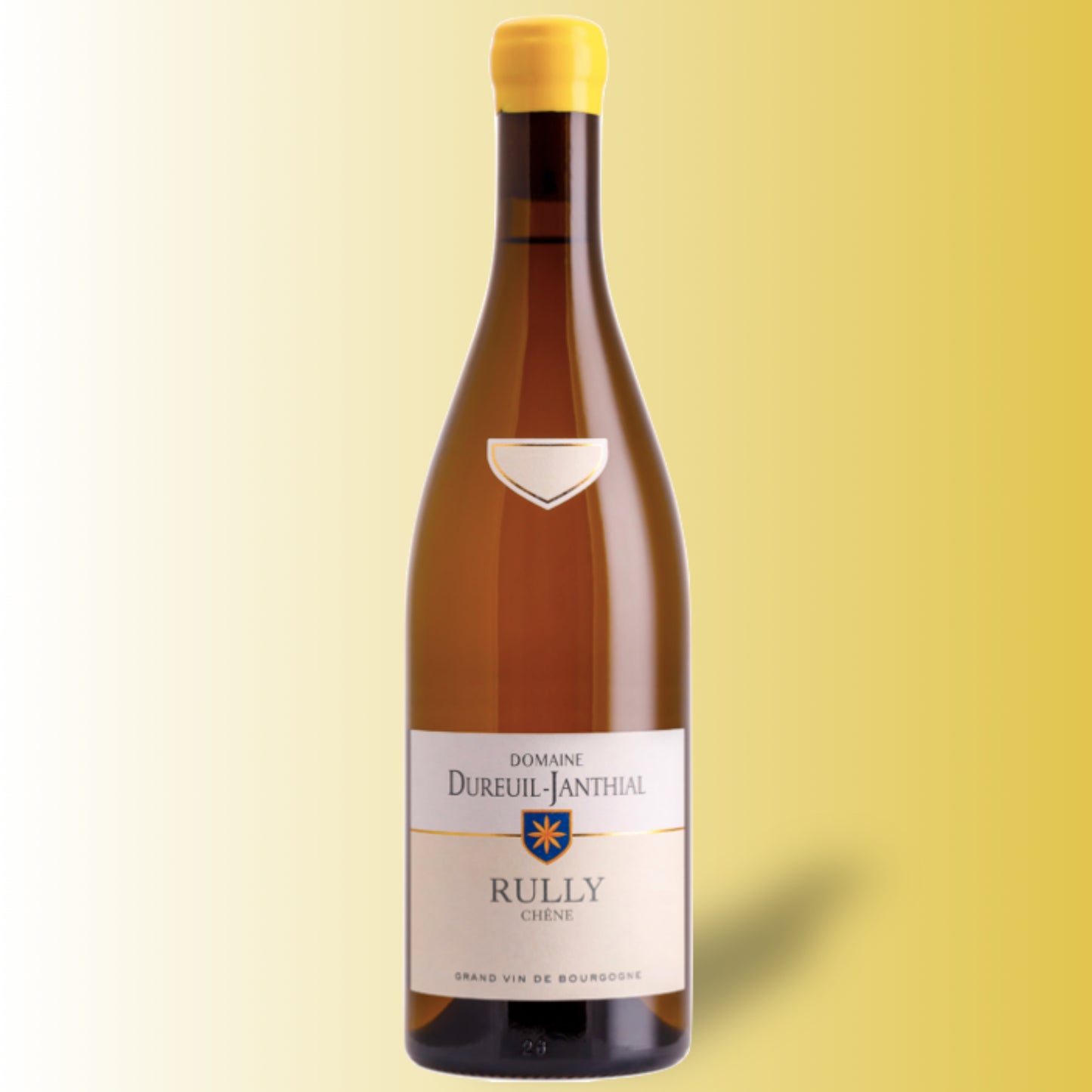 Vincent Dureuil-Janthial Rully Chêne 2022