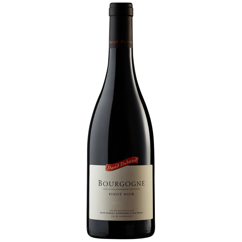 Domaine David Duband Bourgogne Pinot Noir 2020