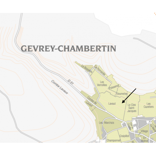 Gevrey Chambertin 1er cru Lavaux Saint Jacques