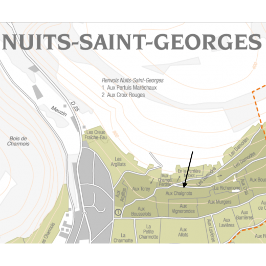 parcelle Nuits Saint Georges 1er cru les chaignots 2017