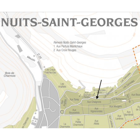 parcelle Nuits Saint Georges 1er cru les chaignots 2017