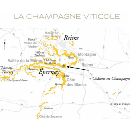 parcelle Bollinger Vieilles Vignes Française 2009