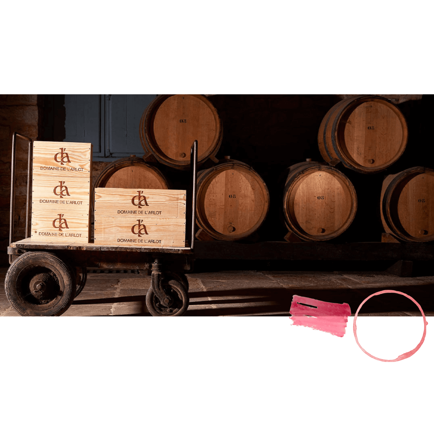 Domaine-de-l-Arlot La Pinothèque