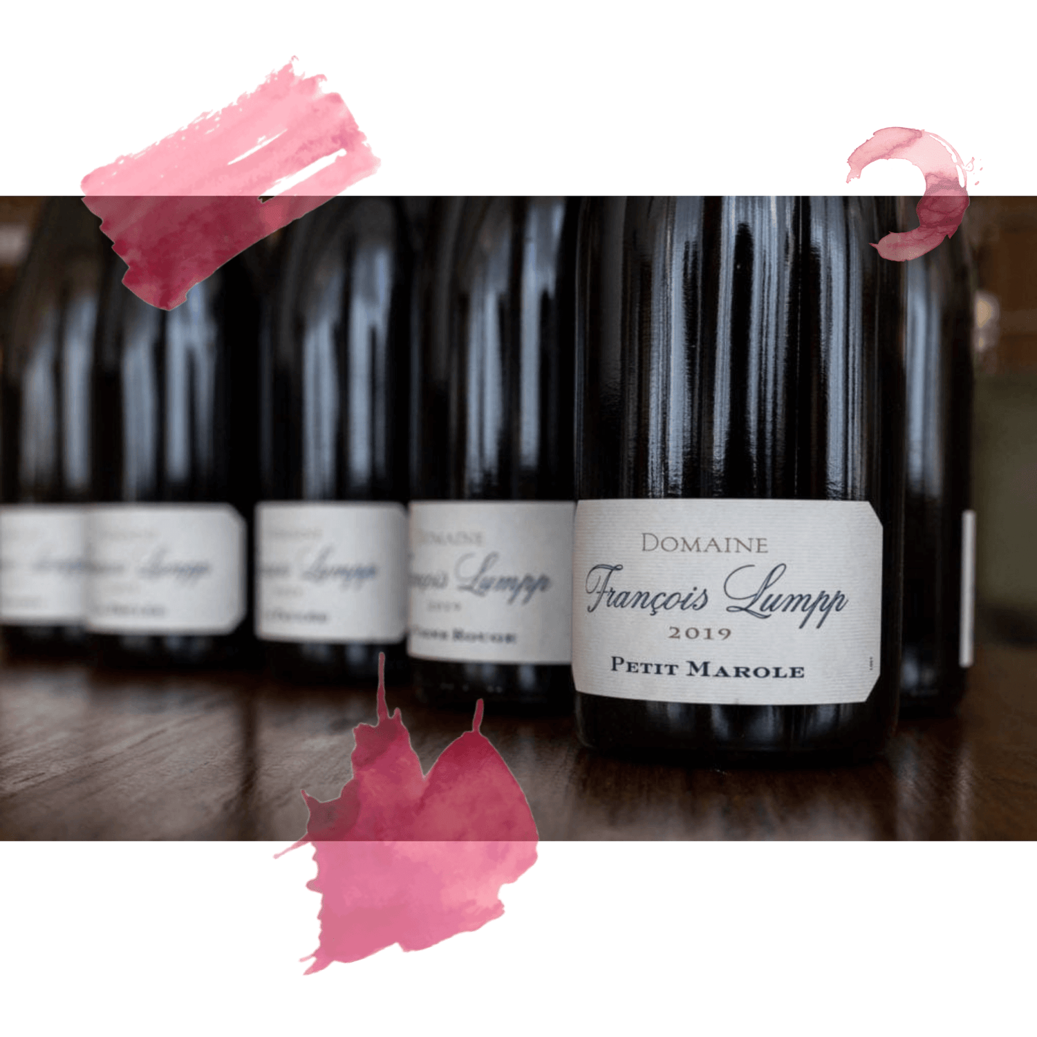 Francois-Lumpp La Pinothèque