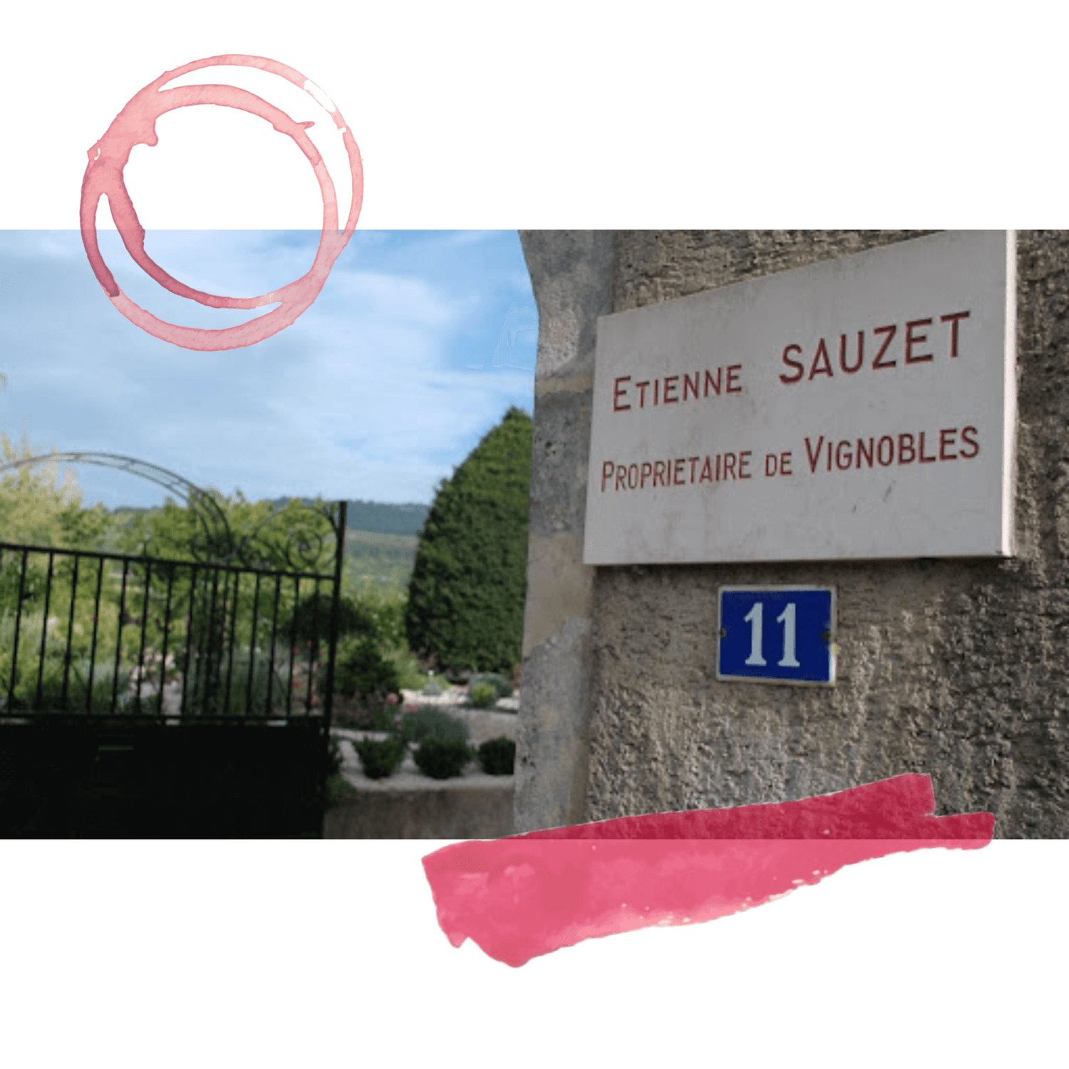 Etienne-Sauzet La Pinothèque