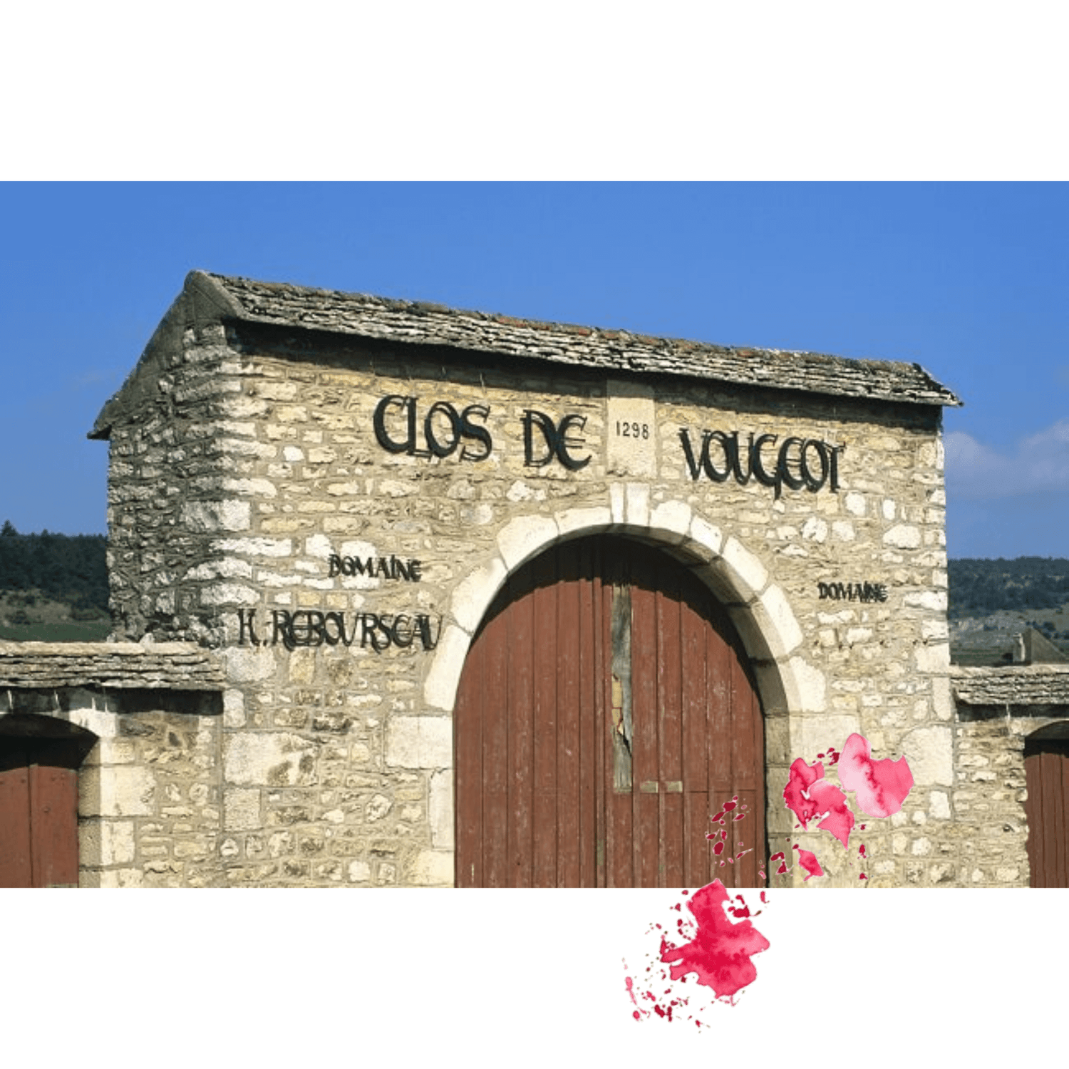Domaine-Rebourseau La Pinothèque
