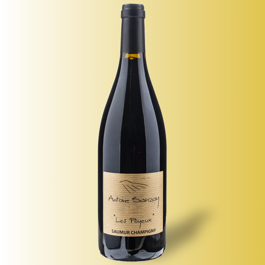 Domaine Antoine Sanzay Saumur-Champigny Les Poyeux 2010