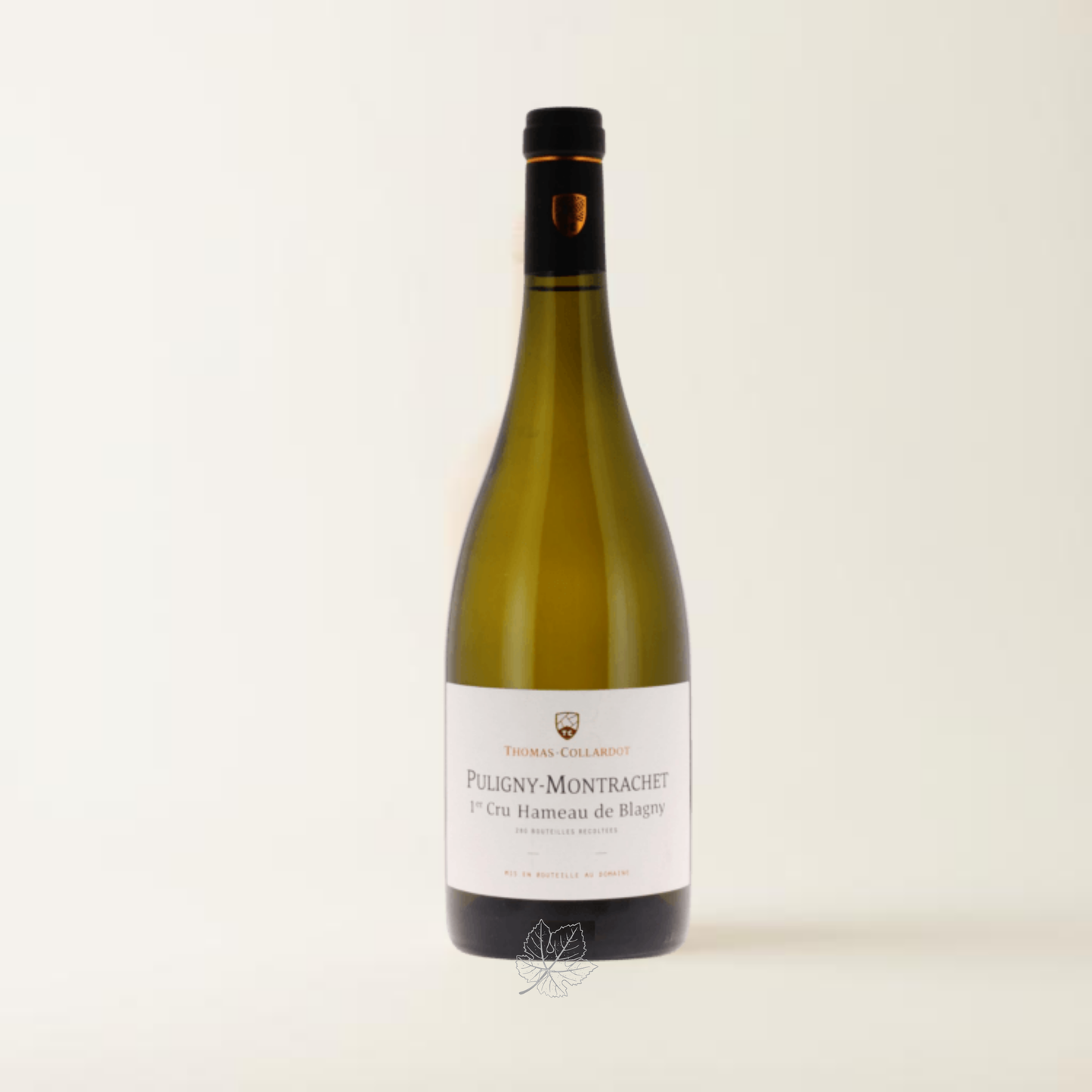 Domaine Thomas-Collardot Puligny-Montrachet 1er cru Hameau de Blagny 2017 Magnum