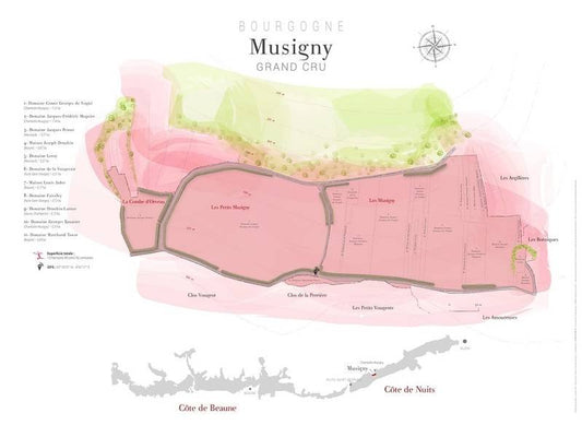 Affiche Musigny
